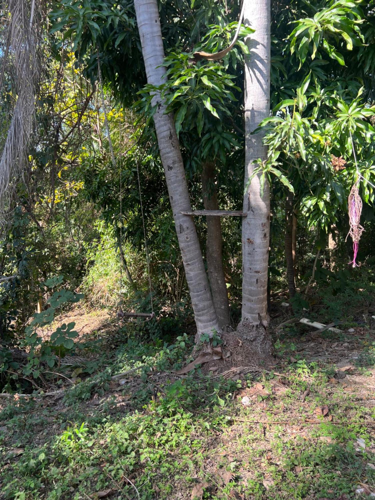 Hotel Ceres - Leao Da Montanha 14 クイアバ エクステリア 写真